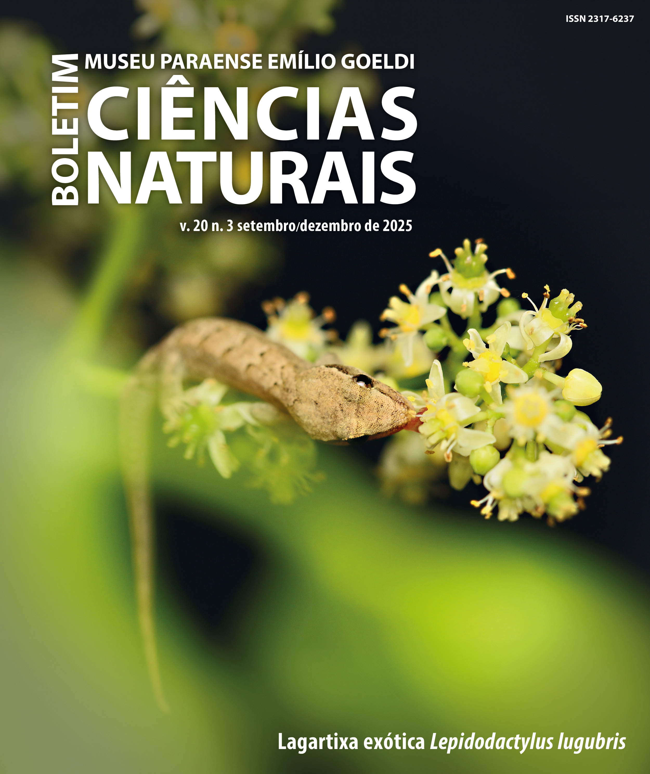 					Visualizar v. 20 n. 3 (2025): Boletim do Museu Paraense Emílio Goeldi. Ciências Naturais
				